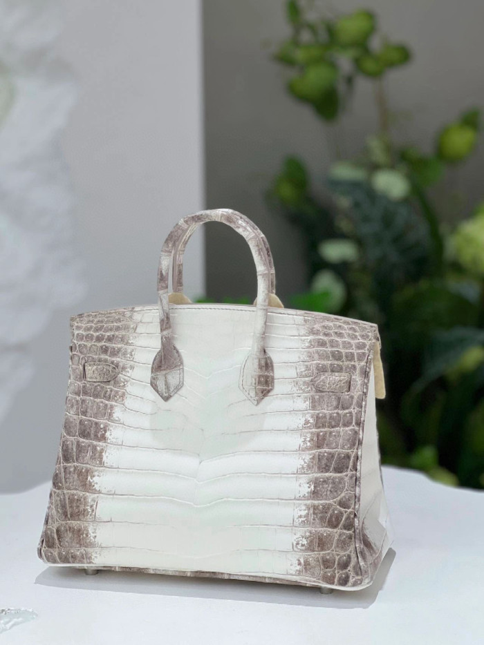 Hermes Kelly Lindy Himalaya Birkin Leather Handbag Bag Bags #nigo96458