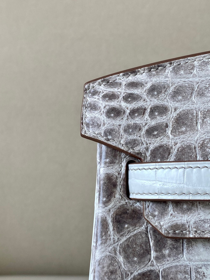 Hermes Kelly Lindy Himalaya Birkin Leather Handbag Bag Bags #nigo96458C