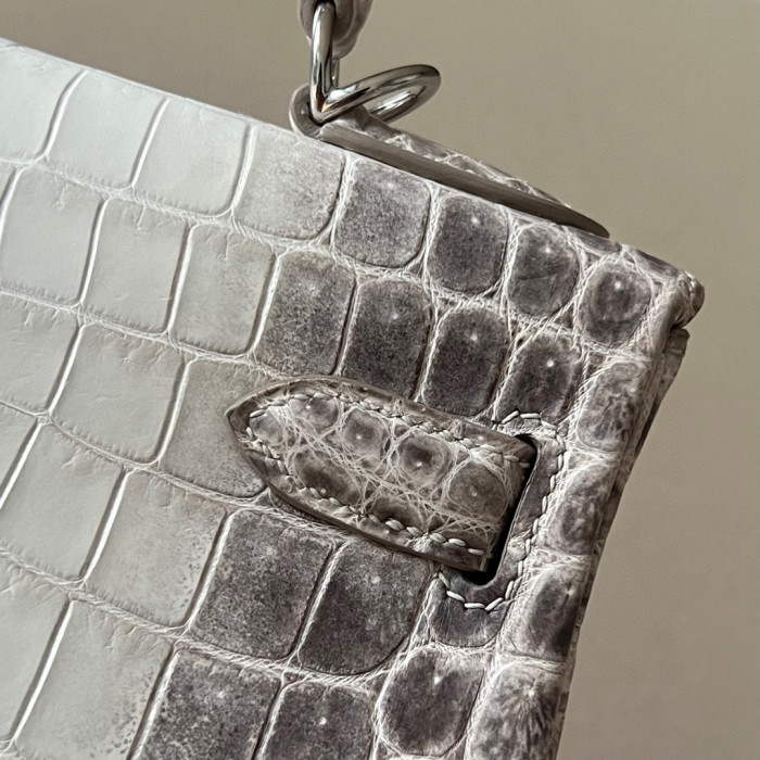 Hermes Kelly Lindy Himalaya Birkin Leather Handbag Bag Bags #nigo96458C