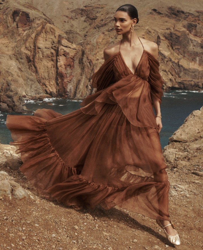 NIGO Zimmermann  Women's Spring/summer Brown Hanging Neck Hundred Pleats Silk Dress Elegant And Noble Thin Gauze Large Hem Top Half Skirt Suit Set #nigo71356