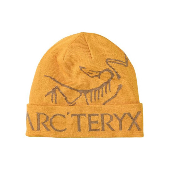 NIGO Arcteryx Men's and Women's Solid Color Logo Printed Recycled Polyester Fleece Hat Cap #nigo73845
