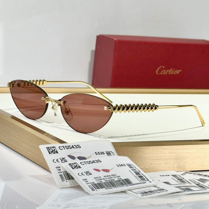 NIGO Cartier Women's Frameless Design Irregular Shaped Sunglasses Eyeglasses Glasses #nigo77996