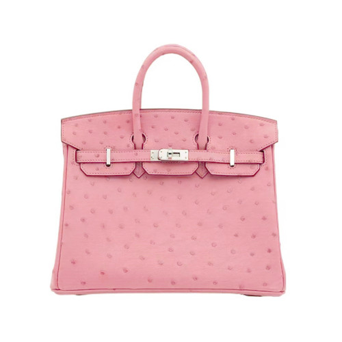 NIGO Hermes Women's Birkin 25 Ostrich Leather Platinum Bag With Silver Buckle Handbag Casual Solid Color Bag Bags H041944CK94 #nigo2137