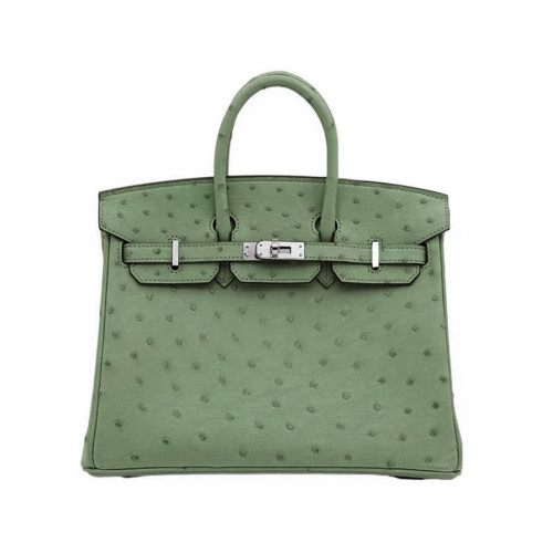 NIGO Hermes Women's Birkin 25 Ostrich Leather Platinum Bag With Silver Buckle Handbag Casual Solid Color Bag Bags H041944CK94 #nigo2137