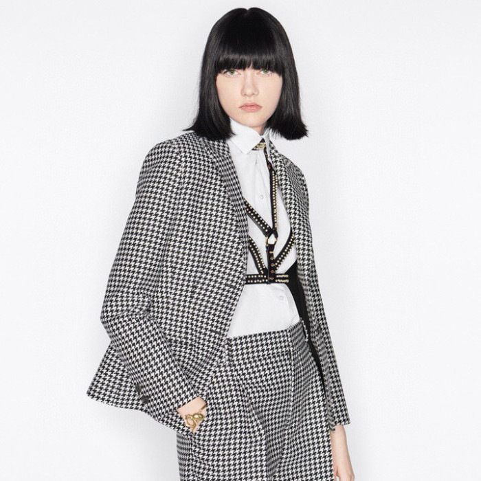 NIGO Dior Women's Stylish Classic V-Neck Single-Breasted Houndstooth Wool Blazer Jacket #nigo78675