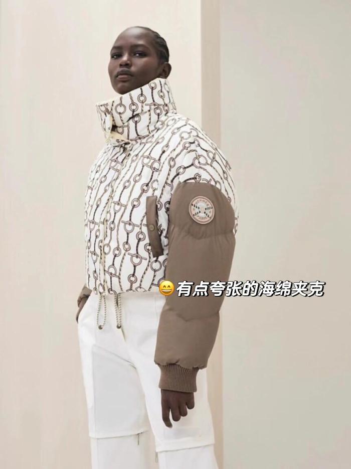 NIGO Hermes Women's Winter Fashion Casual Reversible Patterned Print Short Length High Neck Zipper White Goose Down Filled Short Jacket Down Jacket #nigo78981