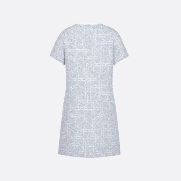 NIGO Dior ﻿ Women's Spring/Summer Fashion Casual Round Neck Simple Elegant Rattan Check Short Sleeve Dress #nigo79562