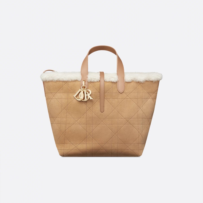 NIGO Dior Toujours Vertical Series Mini and Small Wool Model #nigo333368