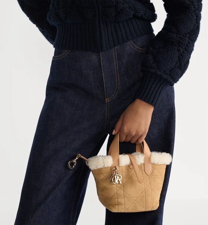 NIGO Dior Toujours Vertical Series Mini and Small Wool Model #nigo333368