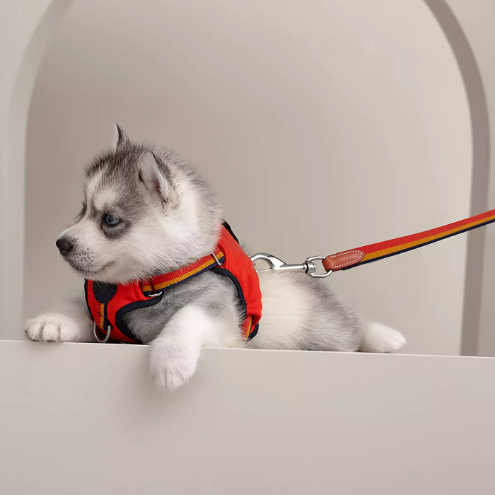 NIGO Hermes Rocabar Dog Harness Slim Dog Leash #nigo334398