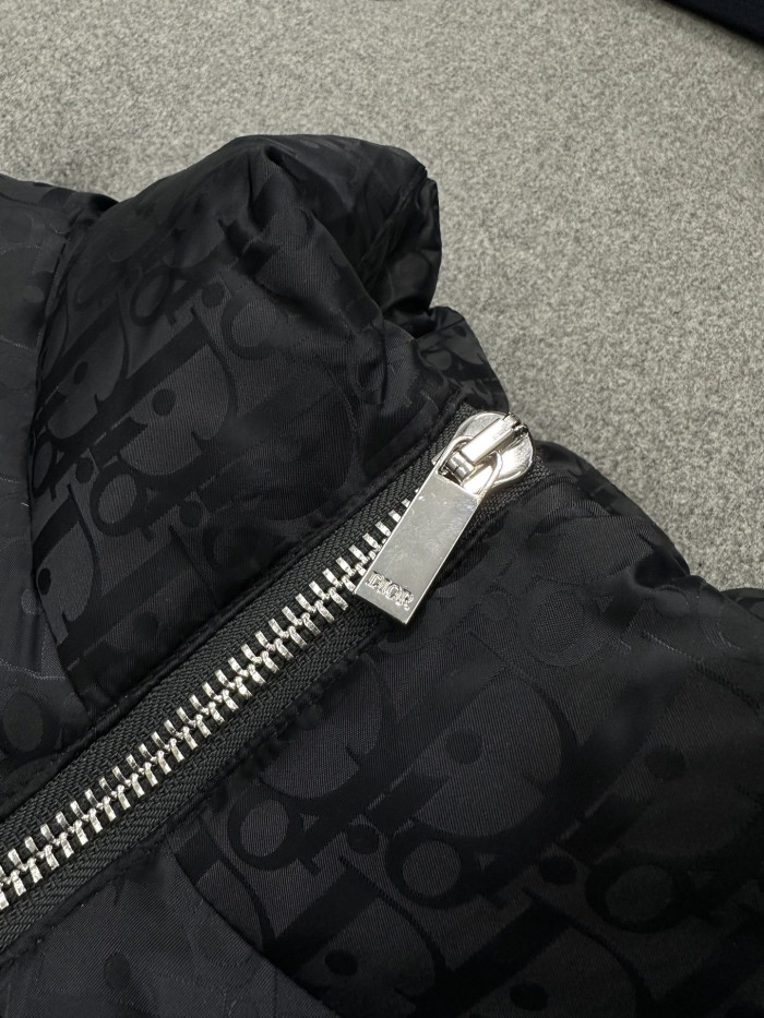 Nigo Dior Top-quality Version Men's Winter Solid Color Logo Full Print Zipper Collar Down Long Sleeve Puffer Down Jacket #nigo334786