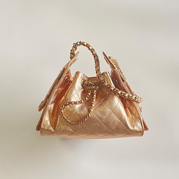 NIGO Chanel 25 Mini handbag Metallic Grained Calfskin #nigo333968