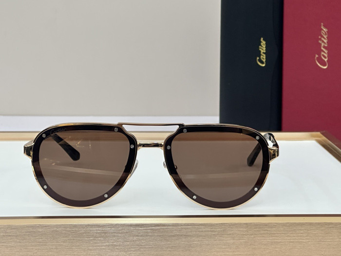 Cartier Men's Classic Aviator Sunglasses #378733
