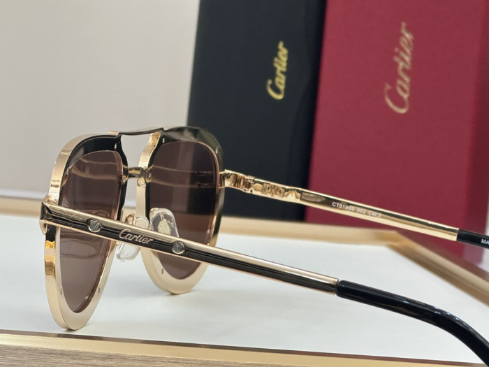 Cartier Men's Classic Aviator Sunglasses #378733