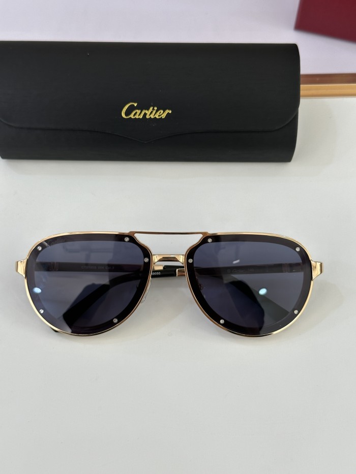 Cartier Men's Classic Aviator Sunglasses #378733