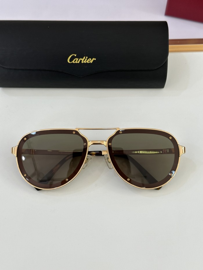 Cartier Men's Classic Aviator Sunglasses #378733
