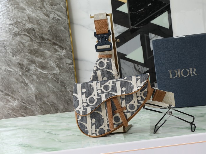 Dior Saddle Bag #379284