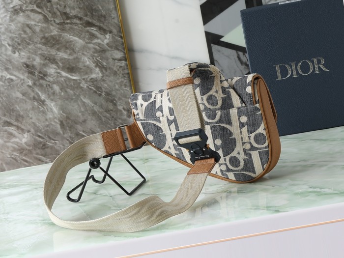 Dior Saddle Bag #379284