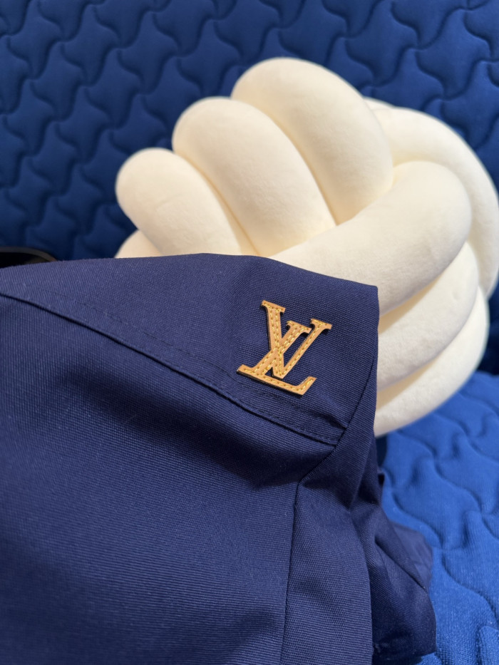 LOUIS VUITTON Carpenter Shorts #381191