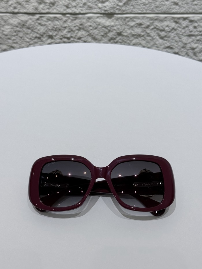Cartier CT0471S Resin Frame Sunglasses #382154
