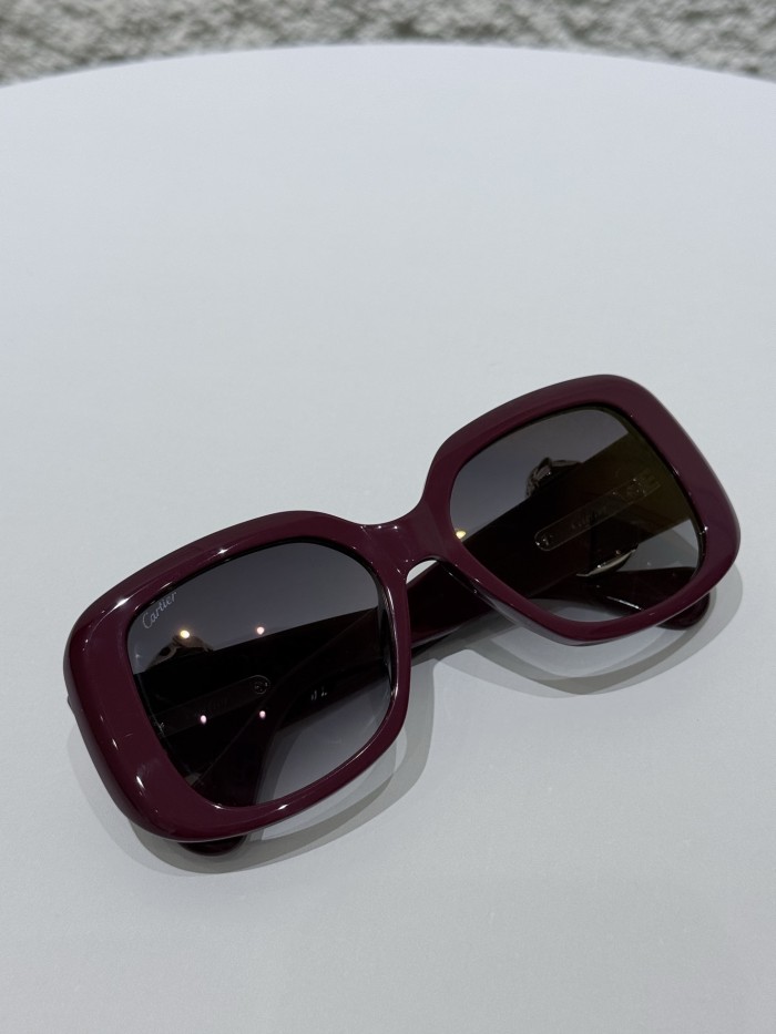 Cartier CT0471S Resin Frame Sunglasses #382154
