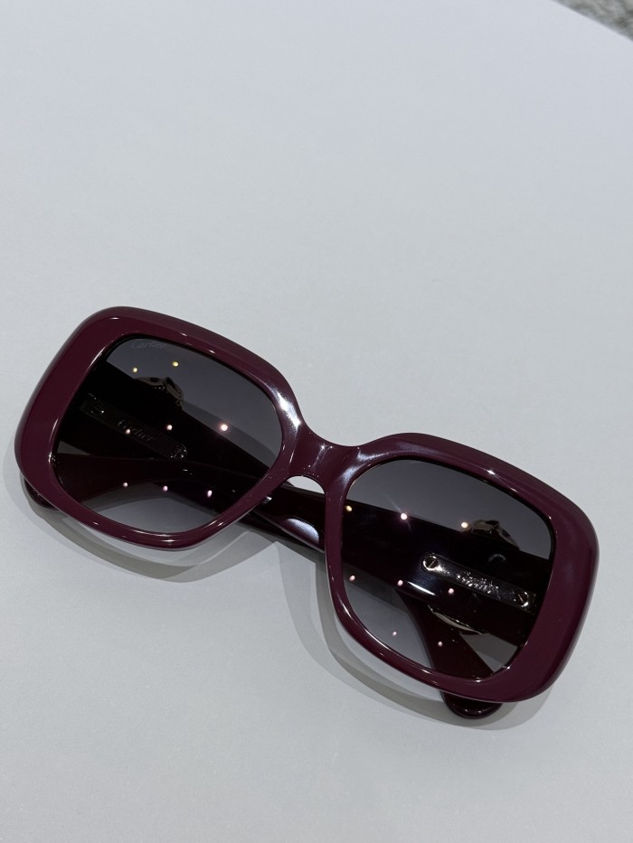 Cartier CT0471S Resin Frame Sunglasses #382154