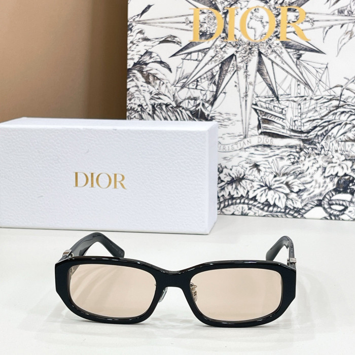 DIOR Dior Oblique R2F Black Oval Sunglasses #382364
