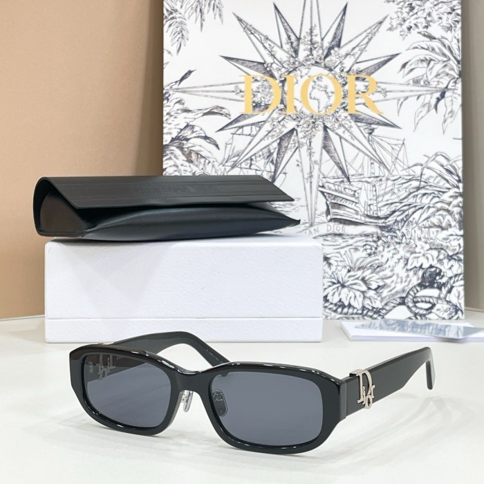 DIOR Dior Oblique R2F Black Oval Sunglasses #382364
