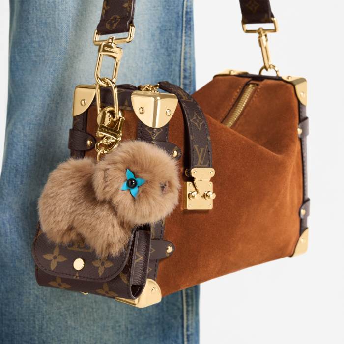 LOUIS VUITTON LV Acorn Pouch S00 Accessories #382585
