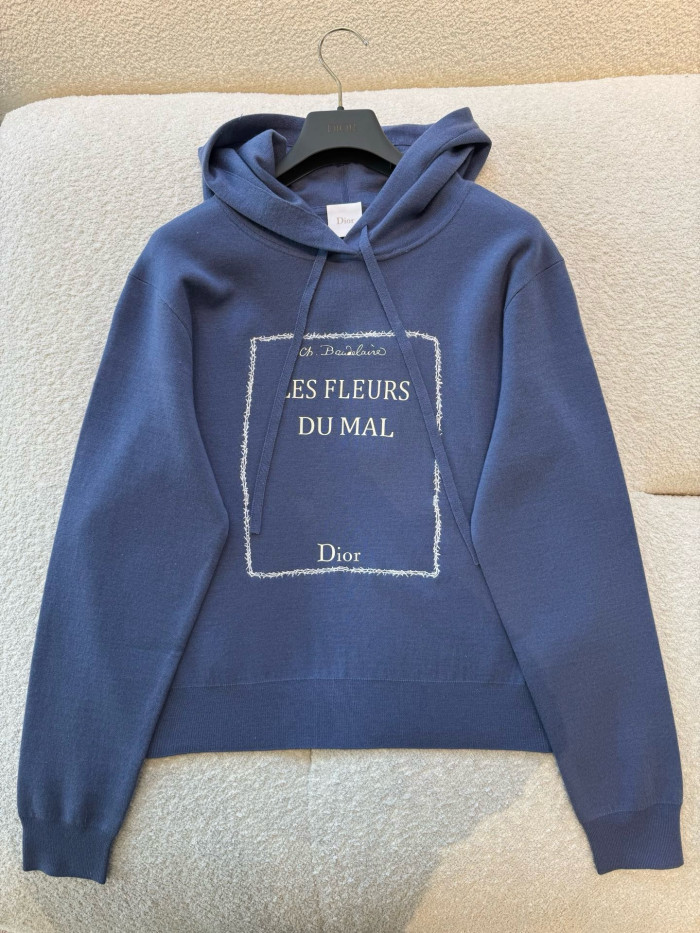 DIOR Book Cover Hooded Sweatshirt Blue and White Cashmere-Silk Blend #384326