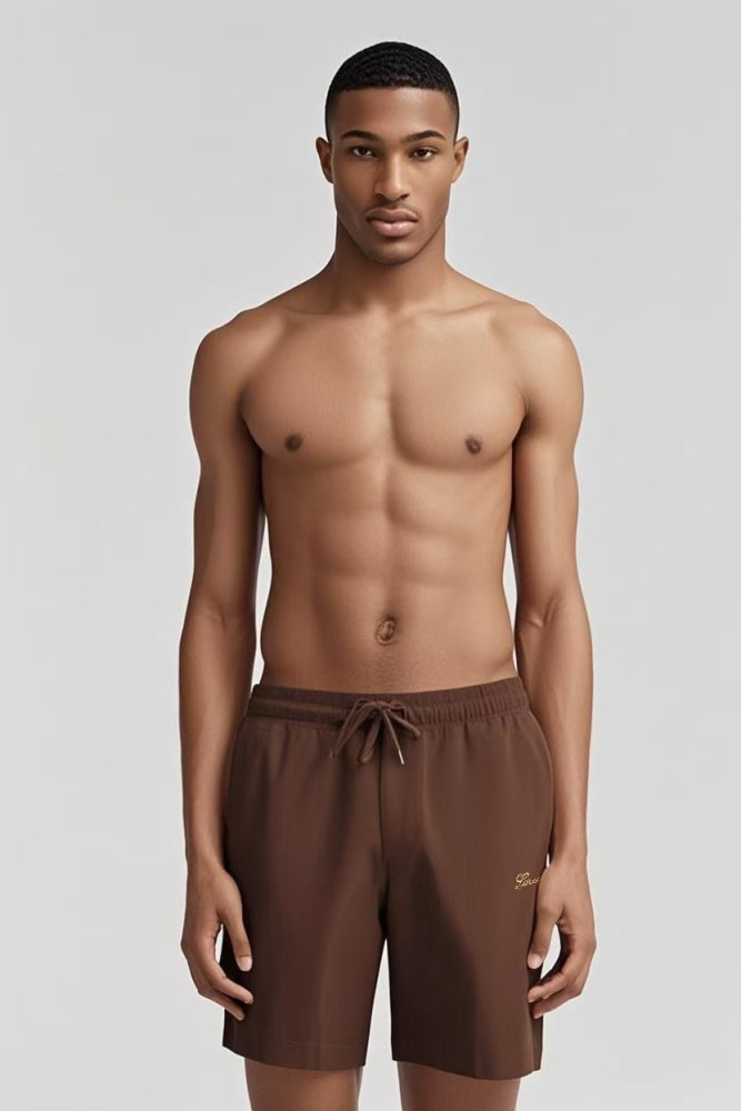 Loro Piana Men's Casual Shorts #384971