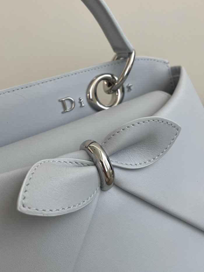 DIOR Small Dior Cigale Bag Shiny Supple Calfskin #385466