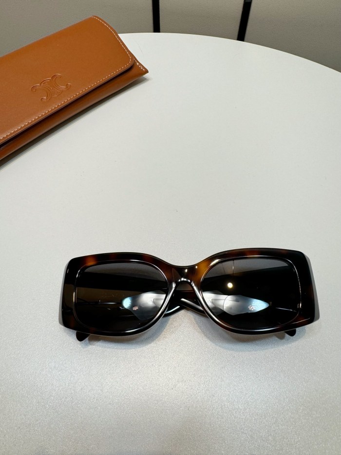 CELINE TRIOMPHE XL 01 SUNGLASSES IN ACETATE #385444