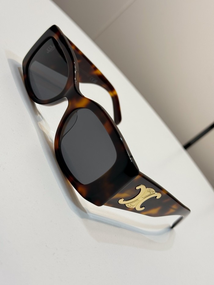 CELINE TRIOMPHE XL 01 SUNGLASSES IN ACETATE #385444