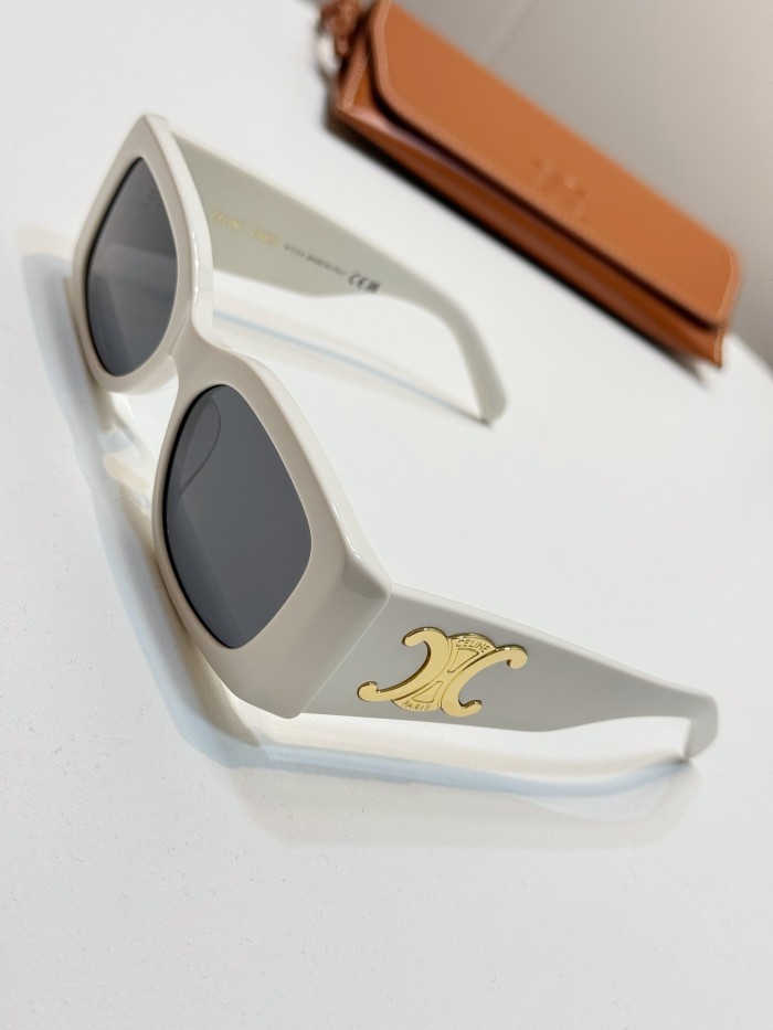 CELINE TRIOMPHE XL 01 SUNGLASSES IN ACETATE #385444