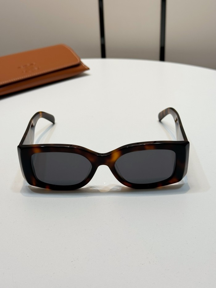 CELINE TRIOMPHE XL 01 SUNGLASSES IN ACETATE #385444