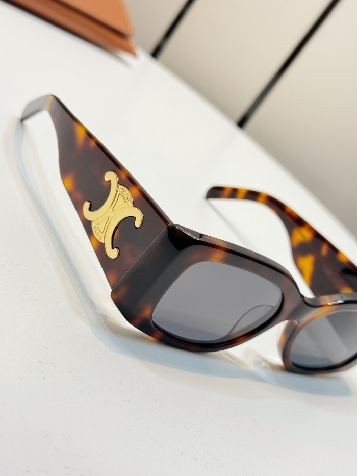 CELINE TRIOMPHE XL 01 SUNGLASSES IN ACETATE #385444