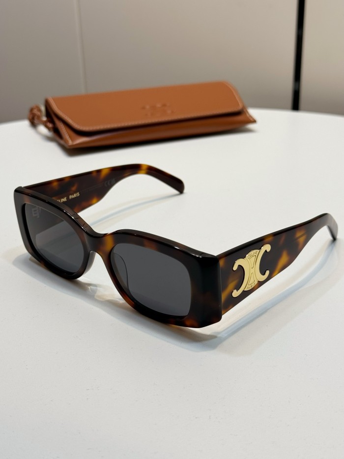 CELINE TRIOMPHE XL 01 SUNGLASSES IN ACETATE #385444