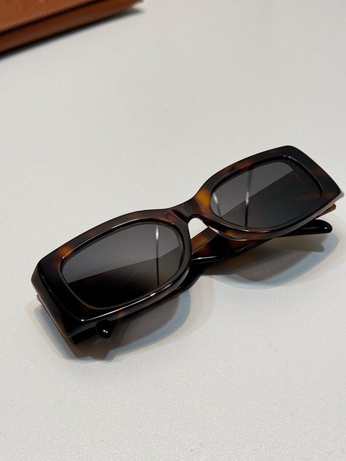 CELINE TRIOMPHE XL 01 SUNGLASSES IN ACETATE #385444