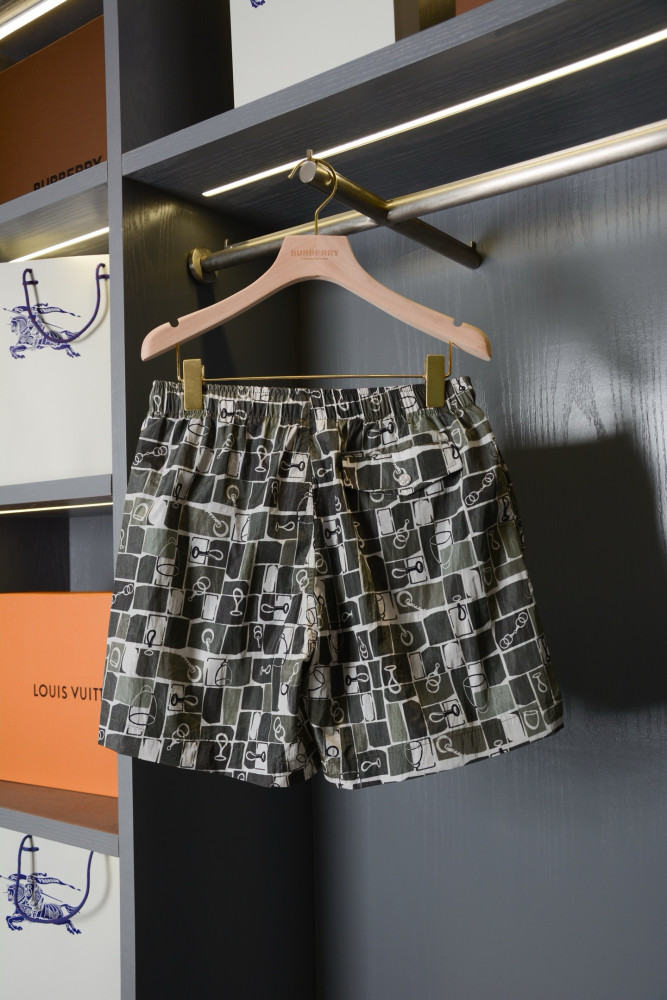 Hermès Metal Au Carre Swim Trunks #385537