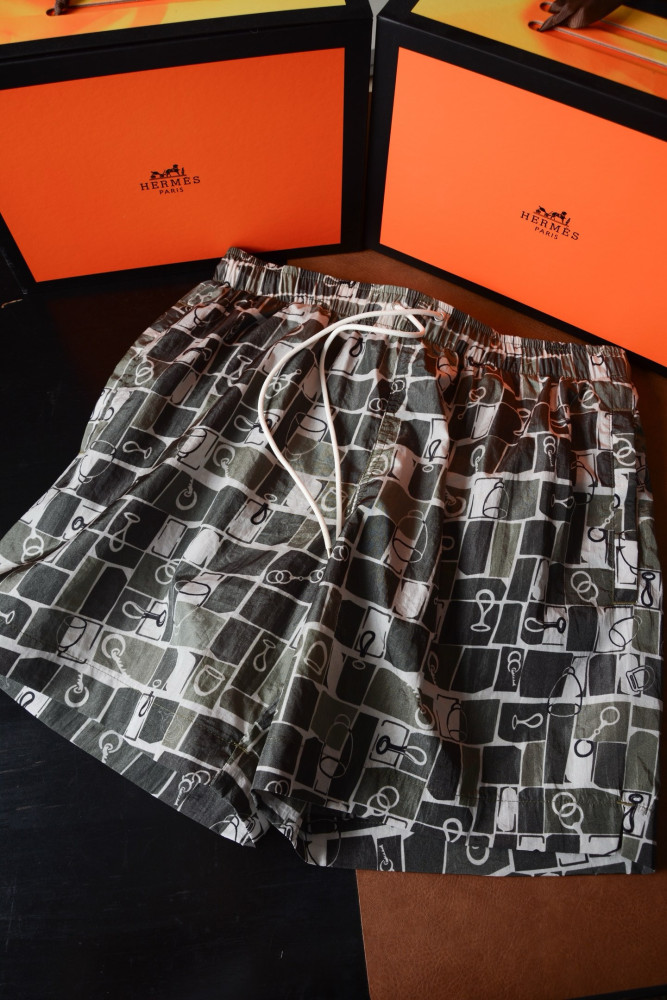 Hermès Metal Au Carre Swim Trunks #385537
