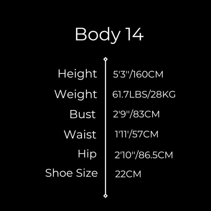 Gynoid Silicone Sex Doll Model 14 Body 14 - 160cm/5’3’’