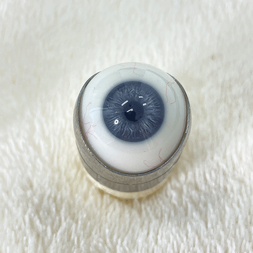 Gynoid Head Sculpture