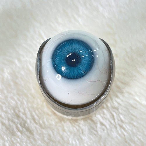 Gynoid Head Sculpture