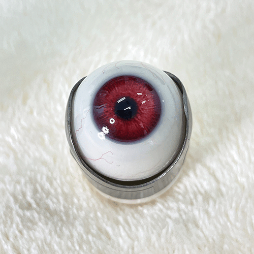 Gynoid Head Sculpture