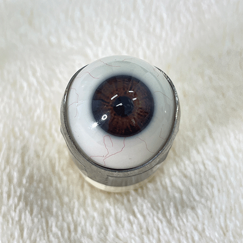 Gynoid Head Sculpture