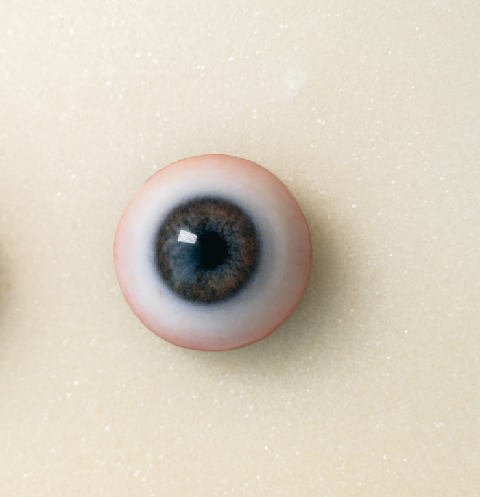 Gynoid Head Sculpture