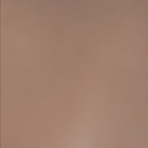 Joey(ROS+anal function) - Gynoid Silicone Sex Doll Model 21 164cm 5'4''