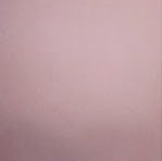 Livi(ROS+anal function) - Gynoid Silicone Sex Doll Model 22 165cm 5'5''