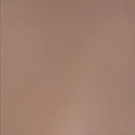 B2: Livi + 22 Body + A Free Additional Head